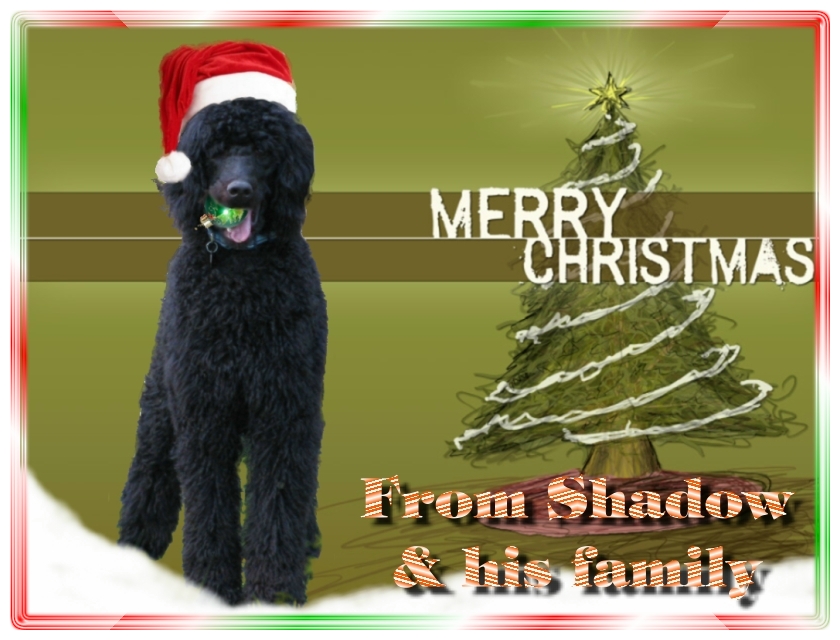 Name:  shadow-christmas-card-3.jpg
Views: 40241
Size:  291.5 KB