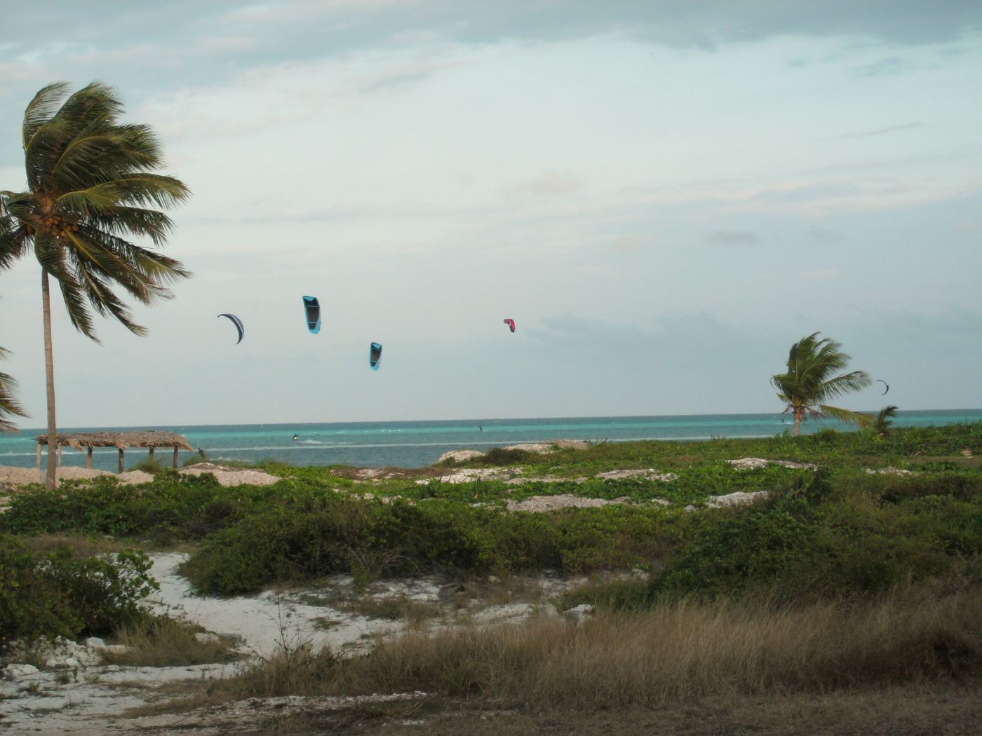 Name:  Kite Surfing.JPG
Views: 1983
Size:  161.8 KB