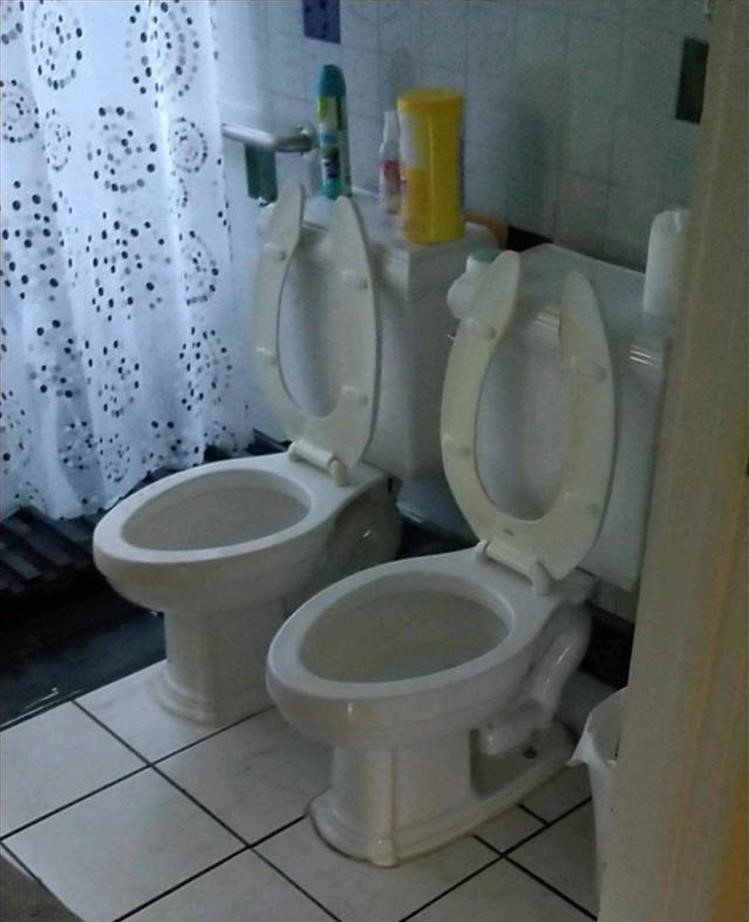 Name:  Toilet.jpg
Views: 962
Size:  112.4 KB