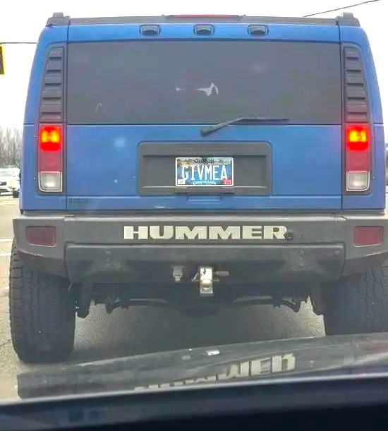 Name:  Hummer..jpg
Views: 1357
Size:  54.6 KB