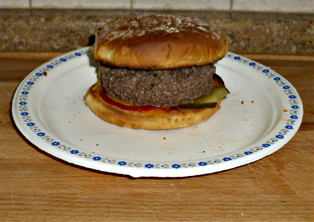 Name:  Chz burger..jpg
Views: 205
Size:  342.1 KB