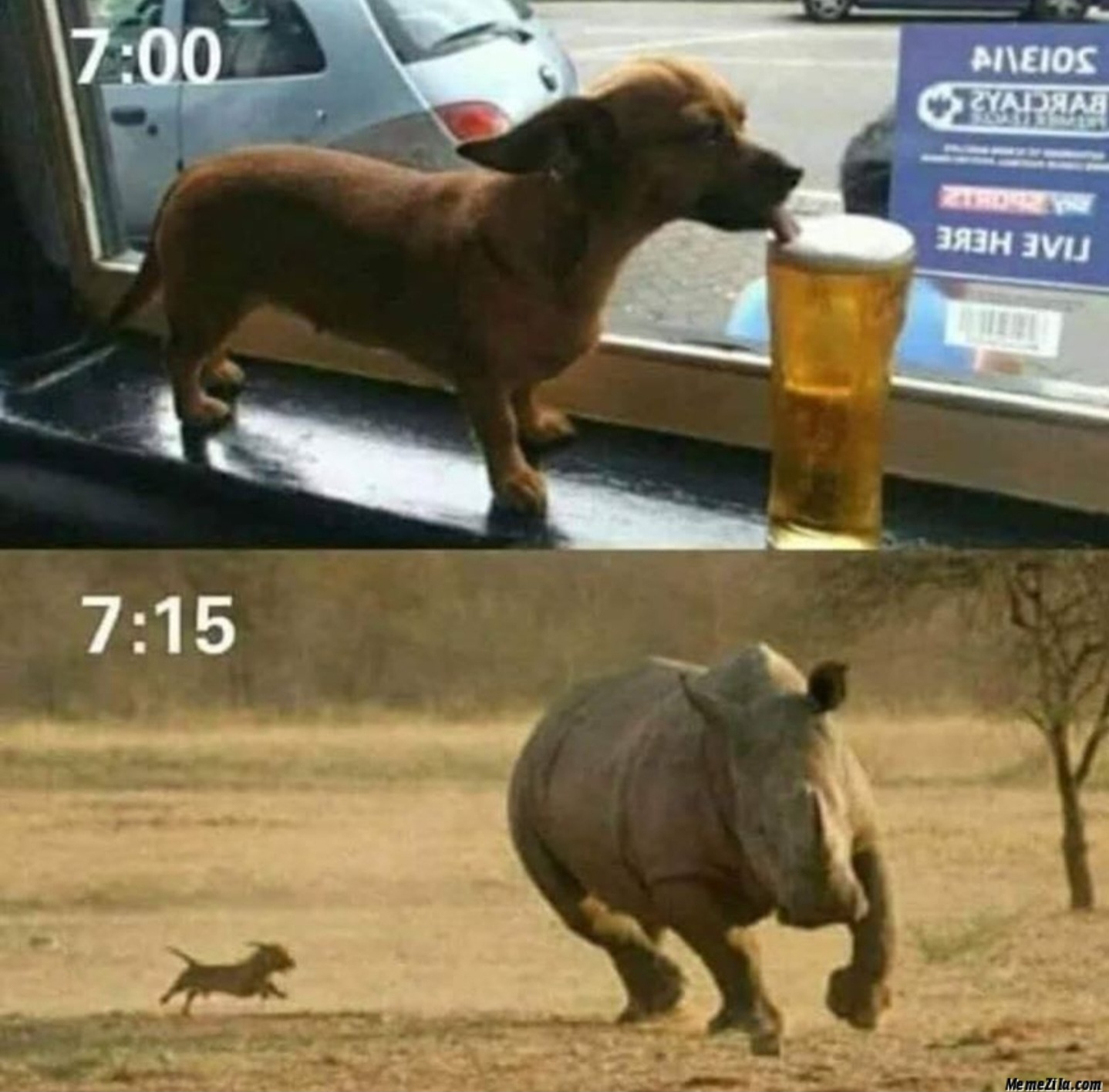 Name:  Drunk_Dog.jpg
Views: 718
Size:  320.9 KB