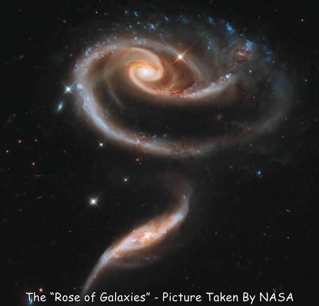 Name:  Rose of galaxies..jpg
Views: 2021
Size:  23.8 KB