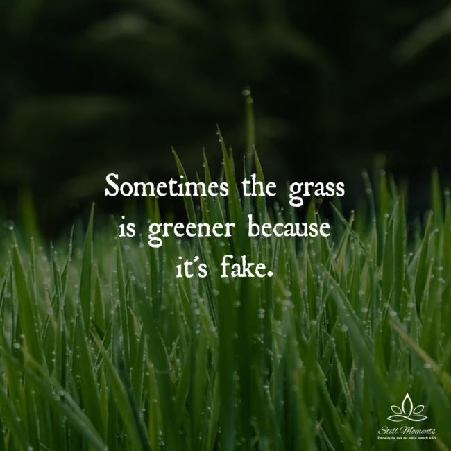 Name:  fakegrass.jpg
Views: 166
Size:  47.5 KB