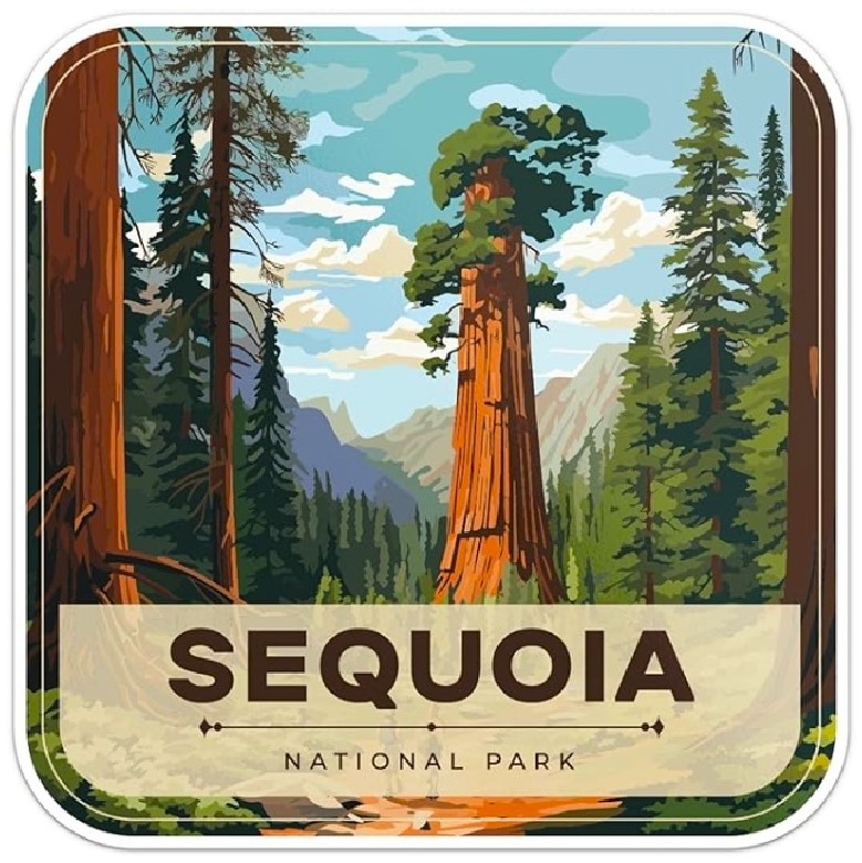 Name:  181-20240930_084400-Sequoia(5).jpg
Views: 176
Size:  171.4 KB