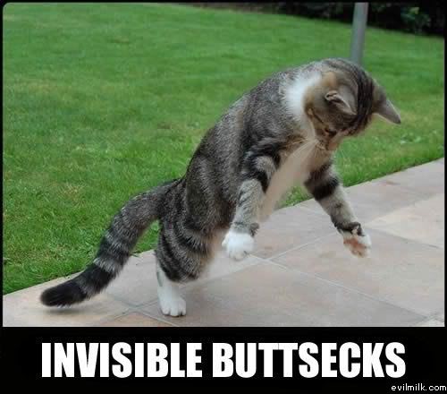 Name:  Invisible_buttsecks.jpg
Views: 23398
Size:  35.0 KB