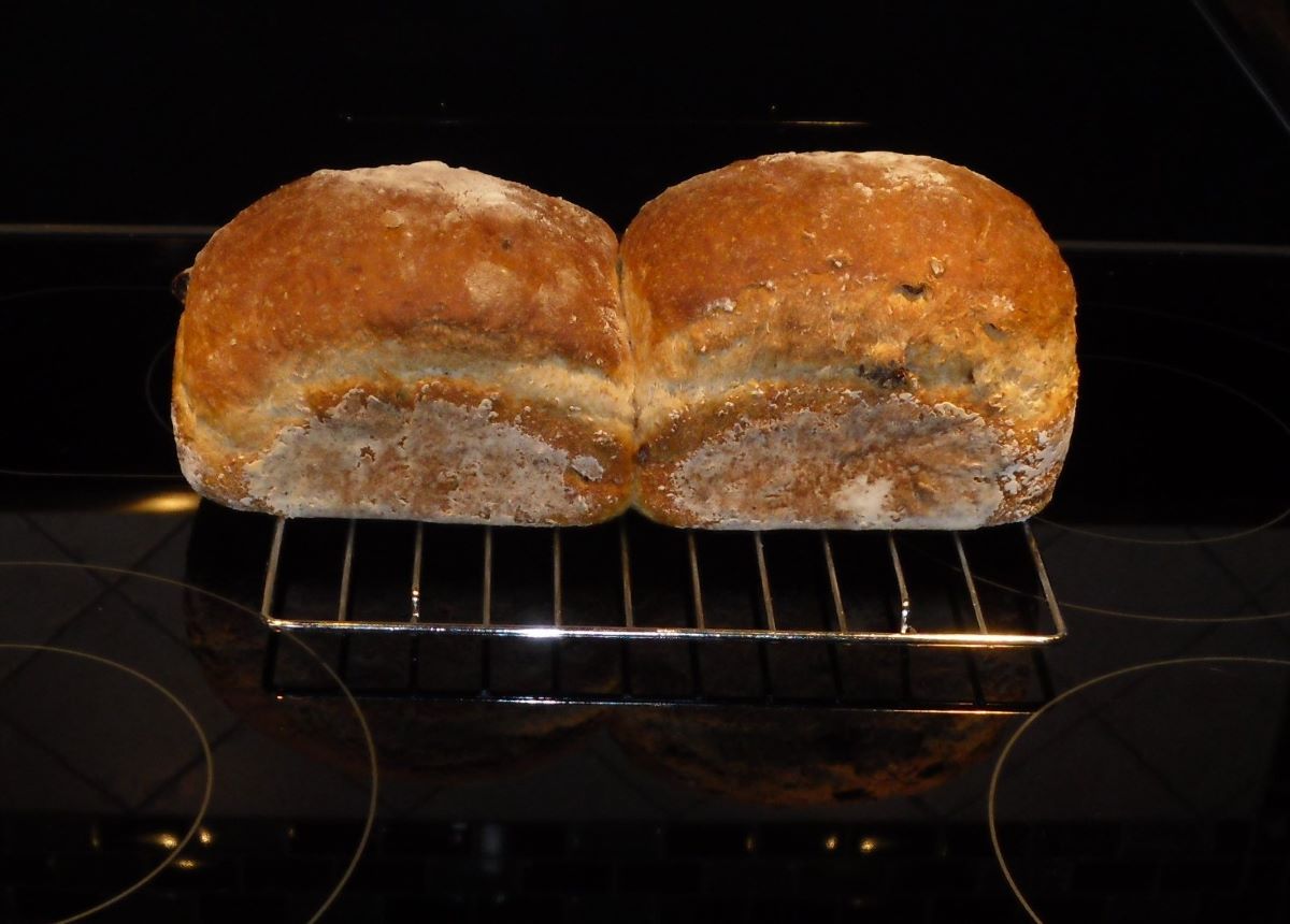 Name:  Bread..jpg
Views: 31
Size:  94.9 KB