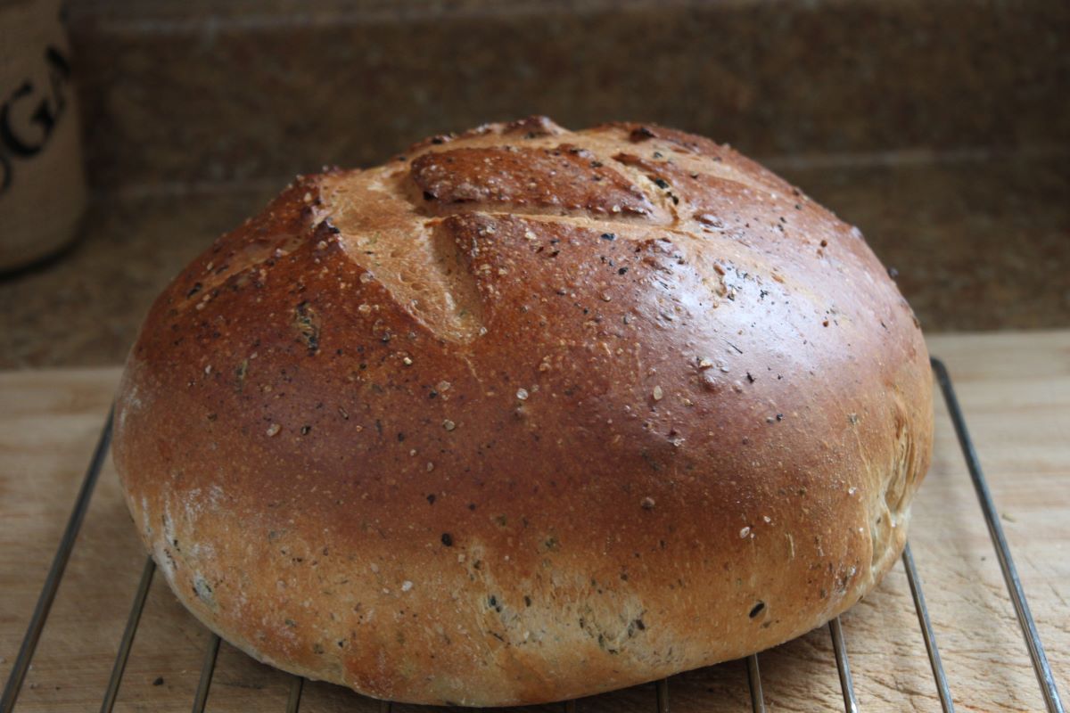 Name:  Olive bread 2.JPG
Views: 3133
Size:  118.8 KB