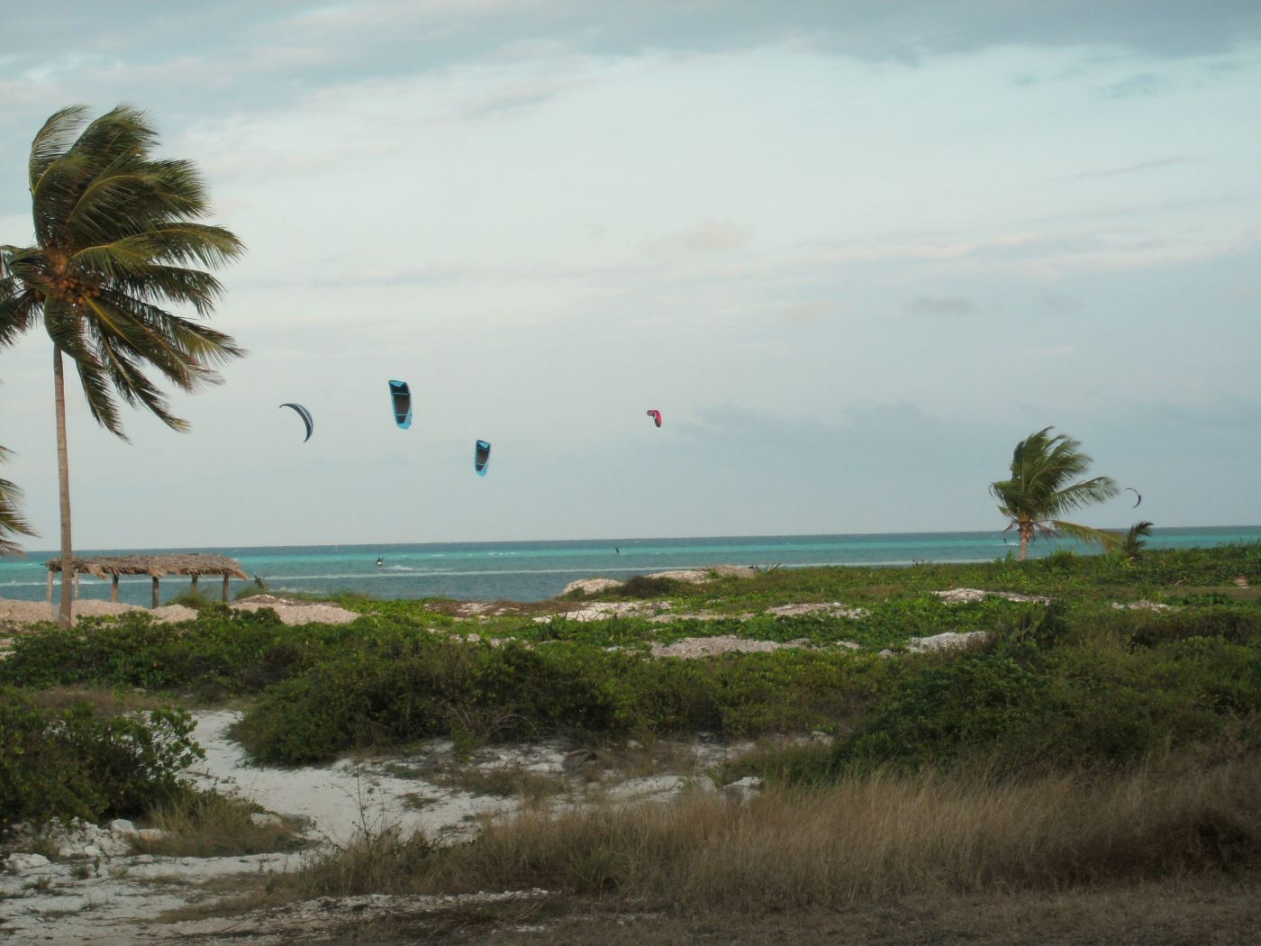 Name:  Kite Surfing.JPG
Views: 1391
Size:  161.8 KB