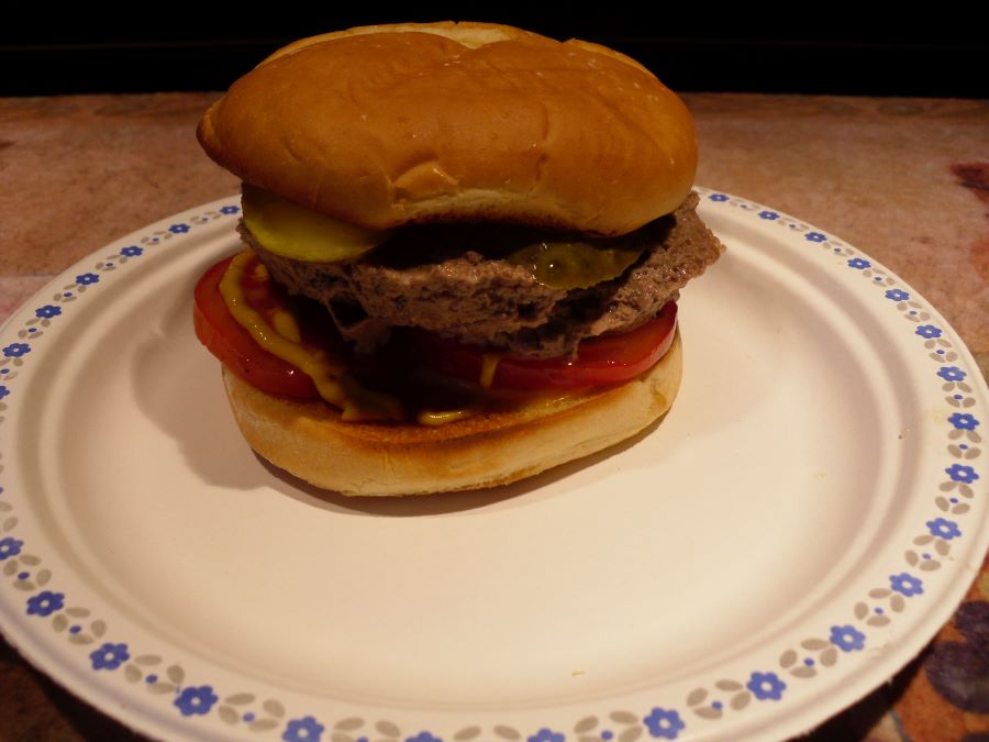 Name:  Burger.JPG
Views: 516
Size:  60.1 KB