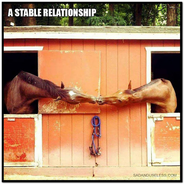 Name:  Stable..jpg
Views: 918
Size:  117.4 KB